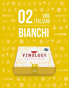 vinology box vini bianchi