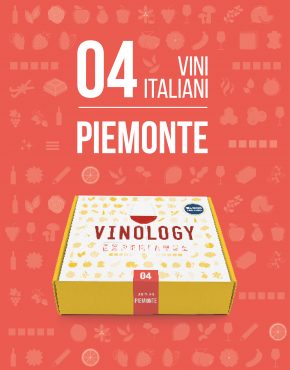 vinology experience piemonte