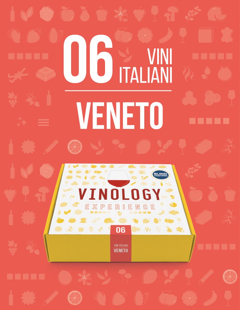 vinology experience veneto