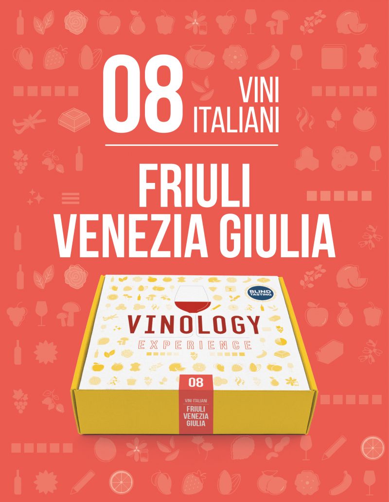 vinology experience friuli venezia giulia