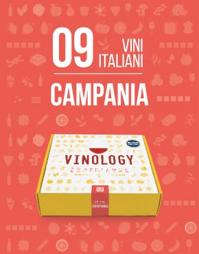 vinology experience campania