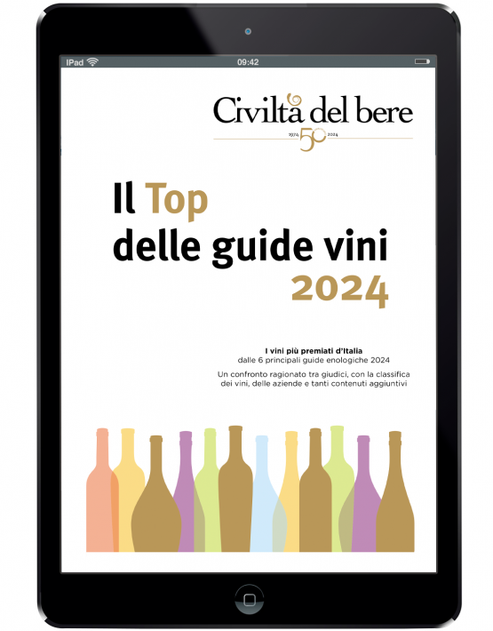 top-guide-vini-2024