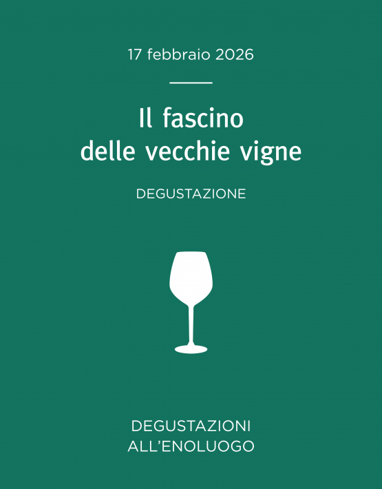 degustazione vini vecchie vigne