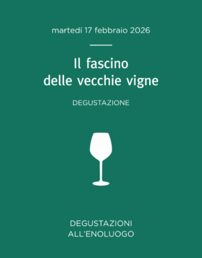 Il fascino delle vecchie vigne