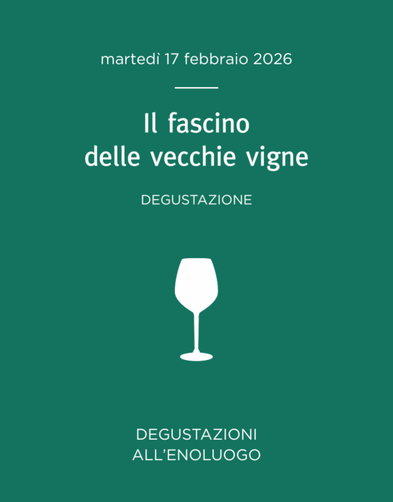 7 Degustazione enoluogo_vecchie vigne