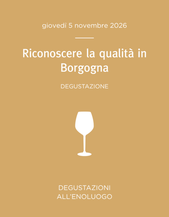 24 borgogna