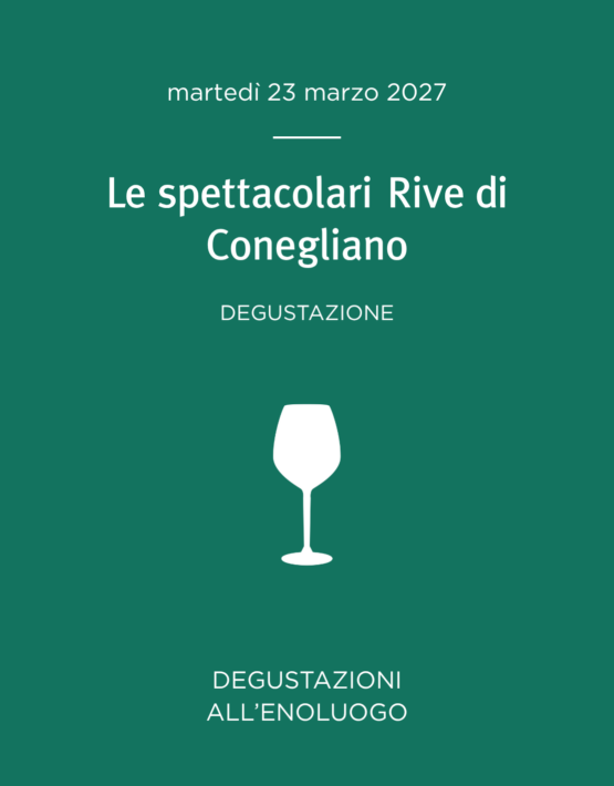 35 conegliano