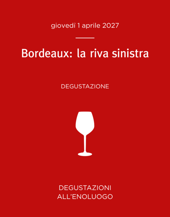 36 bordeaux sx
